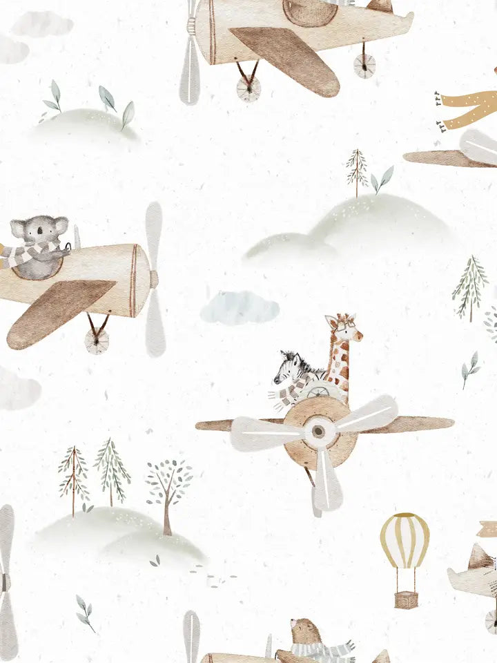 Shorts Sky Safari