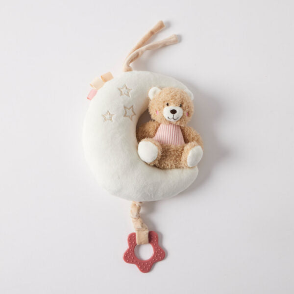Teddy Bear On Moon Musical Pink