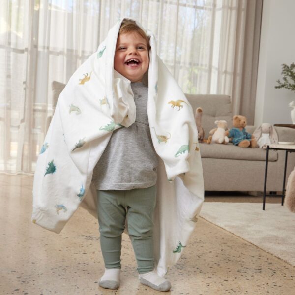 Blanket Dallying Dinosaurs