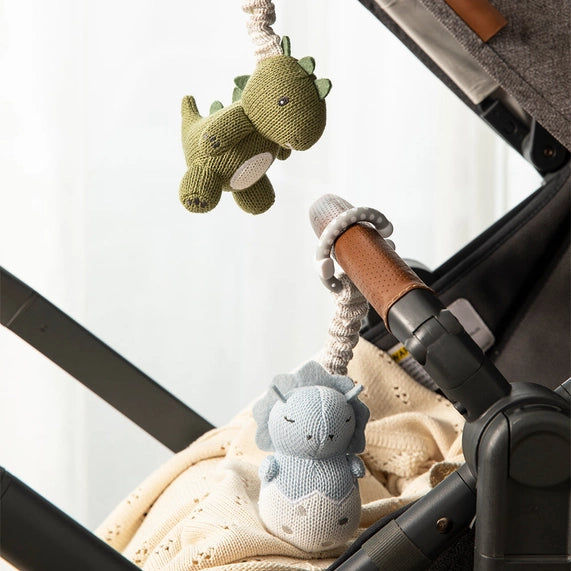 Dinosaur Pram Toys