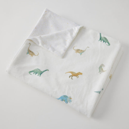 Blanket Dallying Dinosaurs