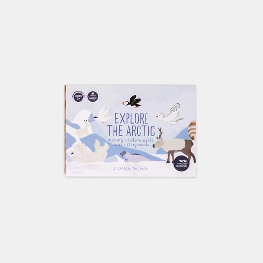 Explore The Artic Snap and Memory Game