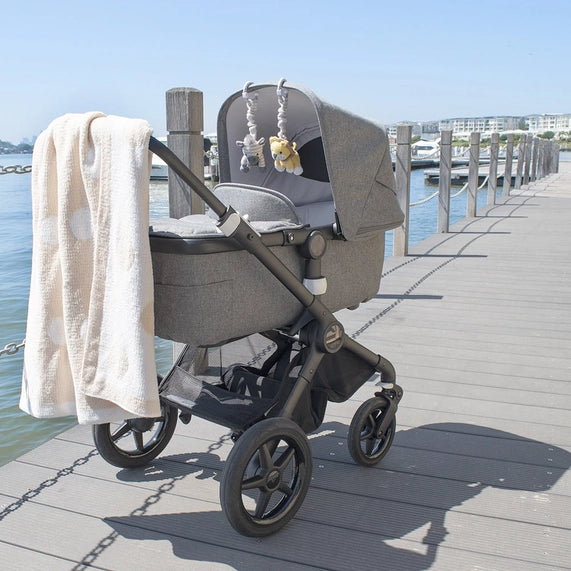 Zebra and Lion Pram Toys