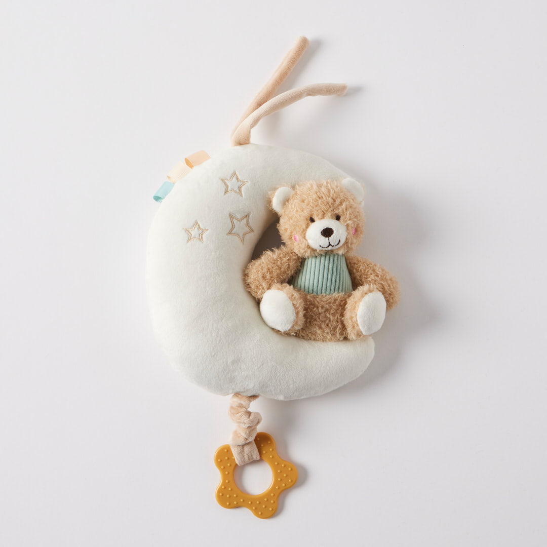 Musical Teddy Bear on Moon Blue