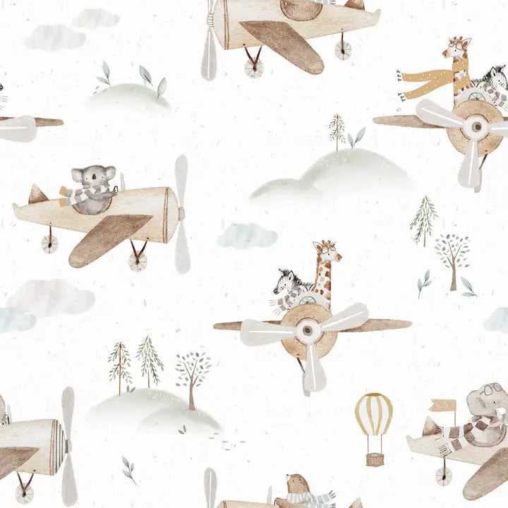 T Shirt  Sky Safari